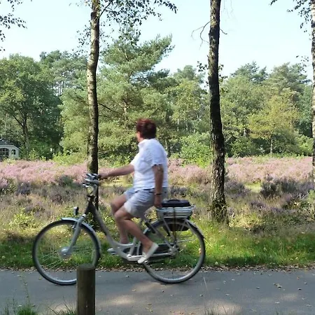 Familiehuis De Eekhoorn - 16p Holiday home Otterlo