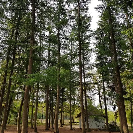 Familiehuis De Eekhoorn - 16p Semesterbostad *