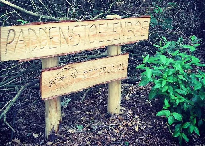 Familiehuis De Eekhoorn - 16p