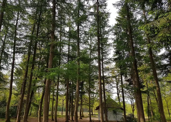 Familiehuis De Eekhoorn - 16p Semesterbostad *